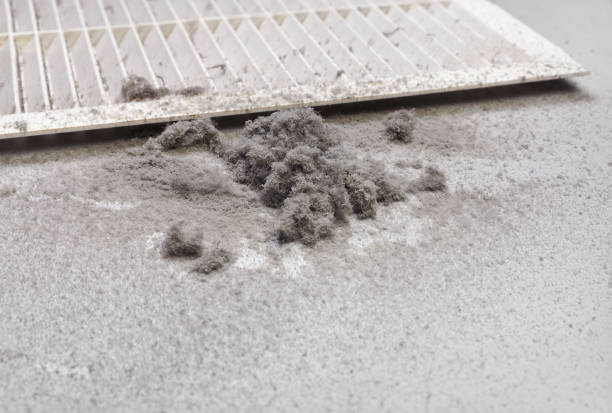 Best Best Air Duct Cleaning Company  in Saltillo, MS
